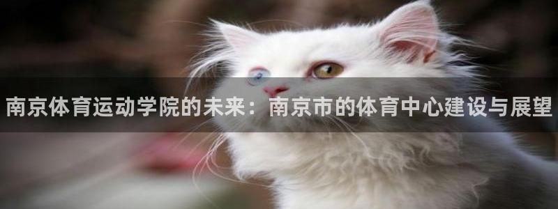 欧亿体育官方正版app集团：南京体育运动学院的未来：