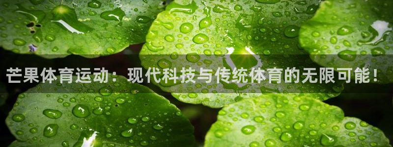欧亿体育官方正版app娱乐：芒果体育运动：现代科技与