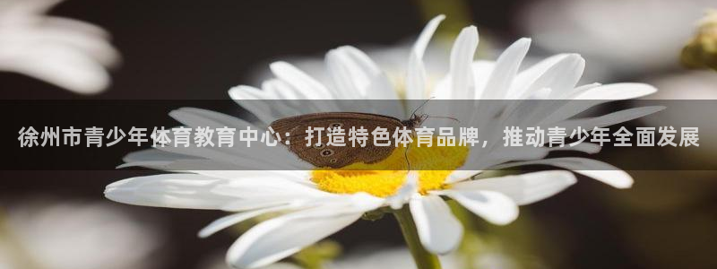 oety欧亿体育官网下载：徐州市青少年体育教育中心：