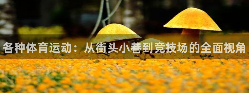 oety欧亿体育官网下载平台APP：各种体育运动：从