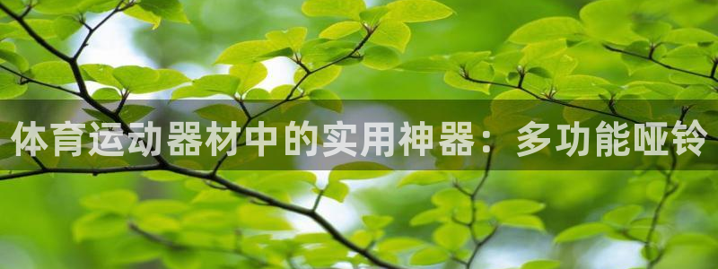 oety欧亿体育官网下载开户：体育运动器材中的实用神