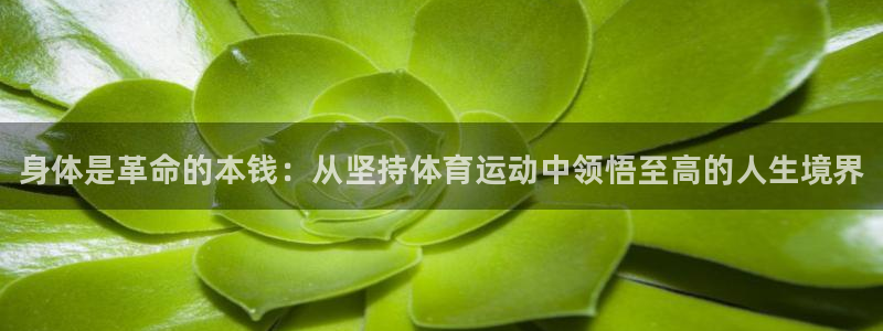 oety欧亿体育官网下载平台假的吗是真的吗：身体是革