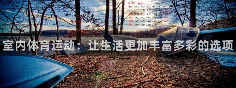 oety欧亿体育官网下载平台注册：室内体育运动：让生