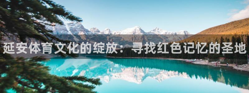 欧亿体育官方正版app五金厂：延安体育文化的绽放：寻
