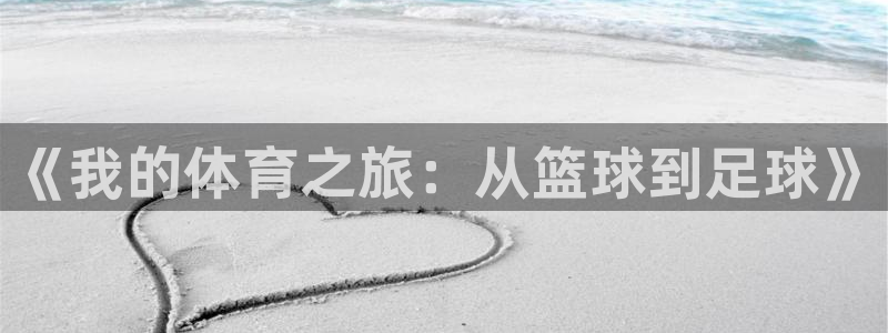 oety欧亿体育官网下载是干嘛的公司：《我的体育之旅