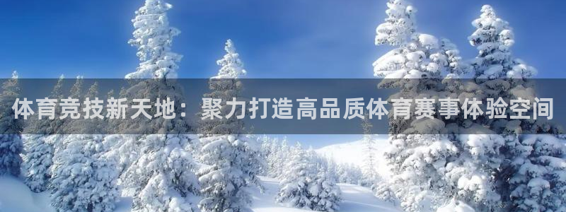 欧亿体育官方正版app集团：体育竞技新天地：聚力打造高品质体