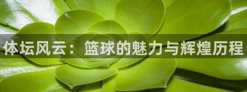 oety欧亿体育官网下载平台注册流程图：体坛风云：篮