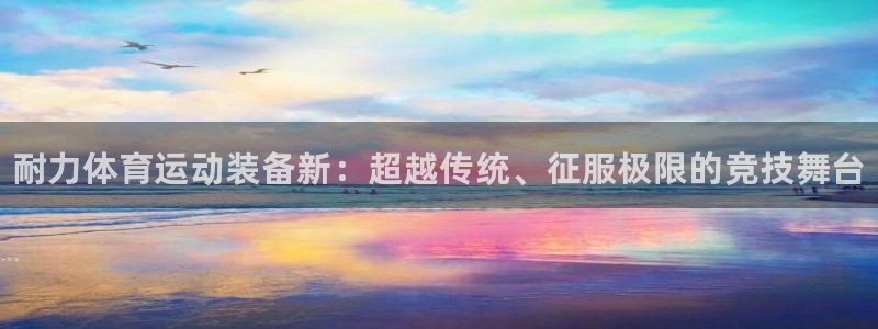 欧亿体育官方正版app新能源：耐力体育运动装备新：超