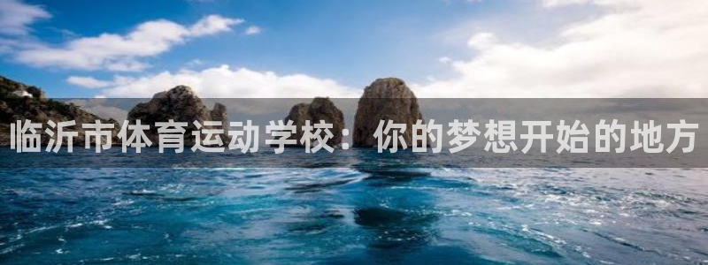 oety欧亿体育官网下载官方客服电话：临沂市体育运动