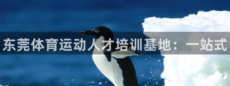 oety欧亿体育官网下载平台是正规平台吗：东莞体育运