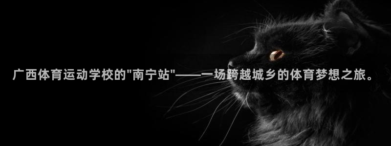 欧亿体育官方正版app集团E.ON：广西体育运动学校