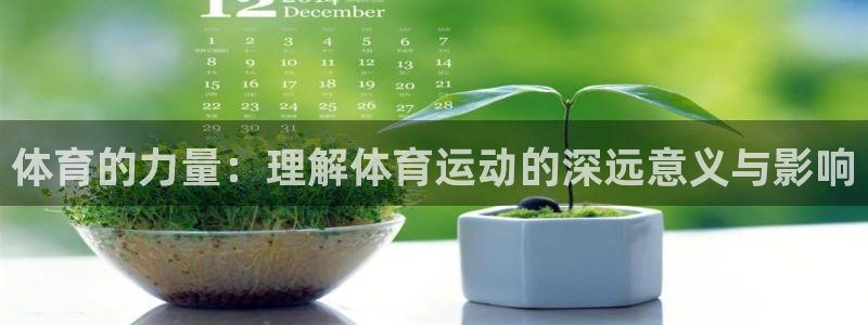 欧亿体育官方正版app娱乐：体育的力量：理解体育运动