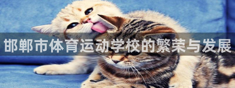 欧亿体育官方集团官网：邯郸市体育运动学校的繁荣与发展