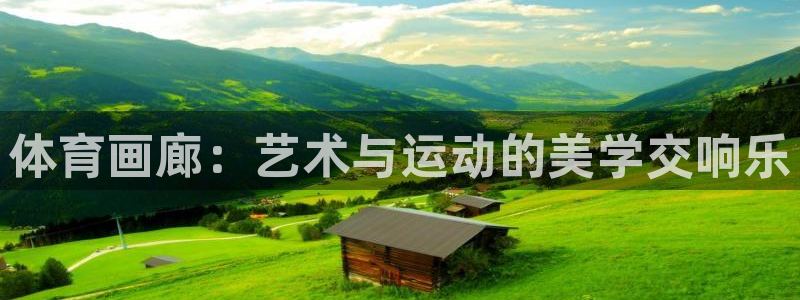 oety欧亿体育官网下载平台注册流程图：体育画廊：艺术与运动