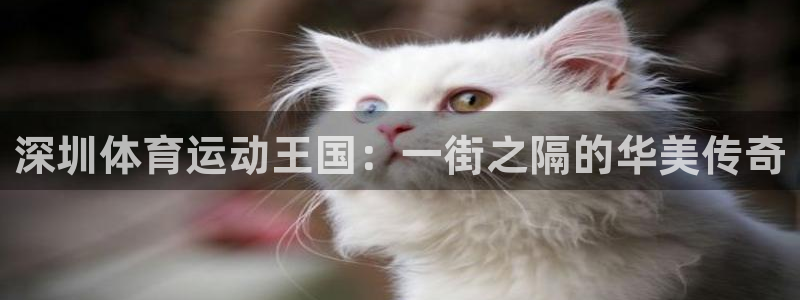 oety欧亿体育官网下载平台假的吗是真的吗吗：深圳体