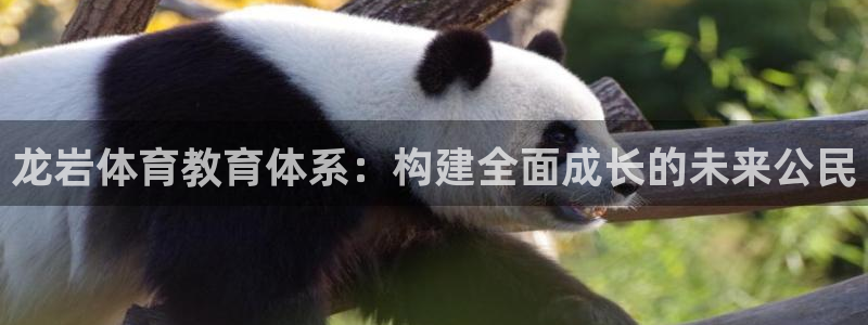 oety欧亿体育官网下载娱乐