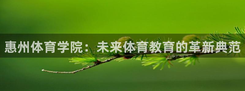 oety欧亿体育官网下载平台注册流程图：惠州体育学院：未来体