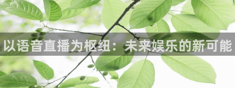 360在线直播体育：以语音直播为枢纽：未来娱乐的新可能