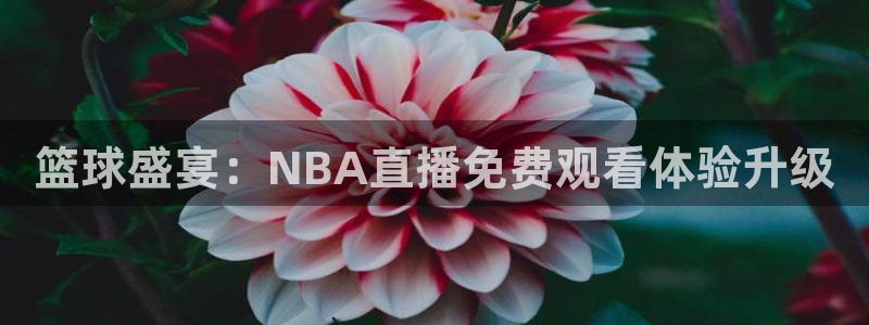 无插件360体育直播：篮球盛宴：NBA直播免费观看体验升级